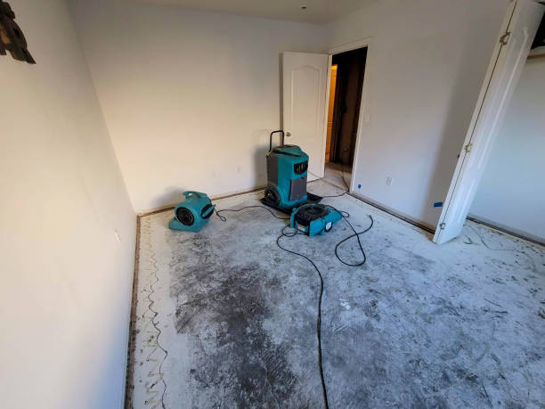 Best Flood damage cleanup  in Gouldtown, NJ